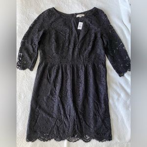 Loft Lace Dress, Size 18, Black, Never Been Used,